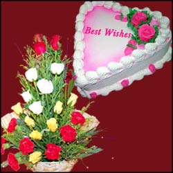 Order Now